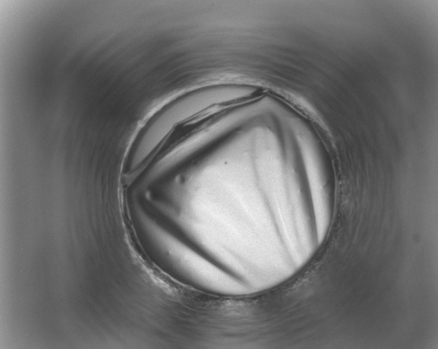 X0000067000839200604142257