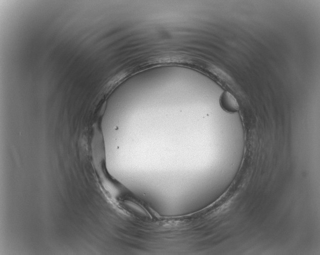 X0000067000841200604142257