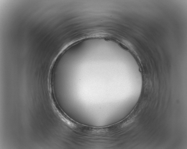 X0000067000843200604142257