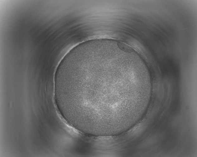 X0000067000844200604142257