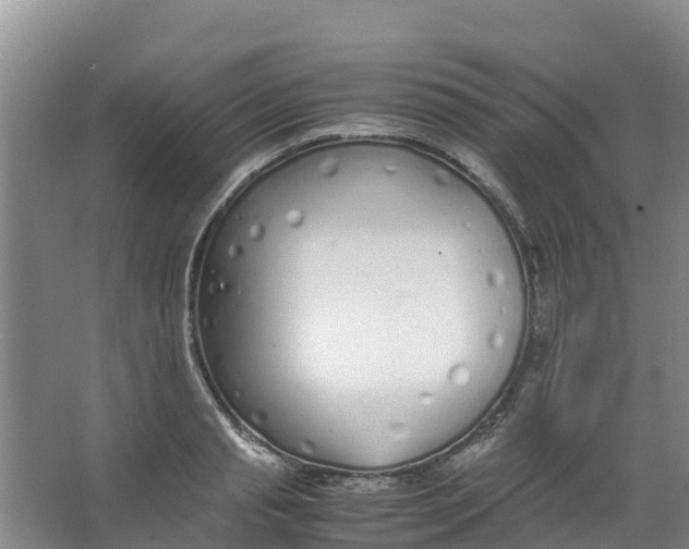 X0000067000845200604142257