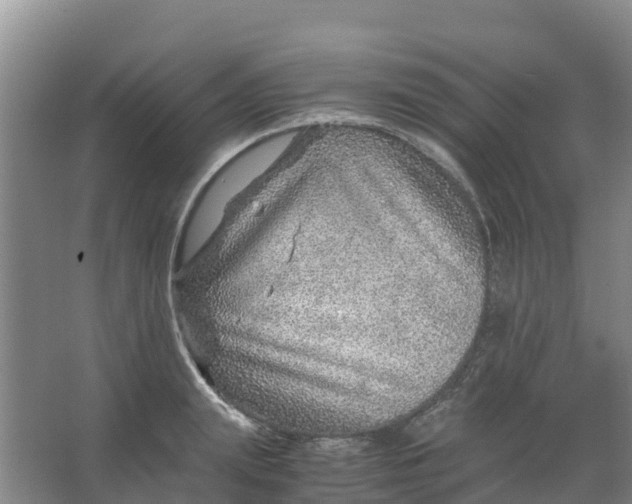 X0000067000847200604142257