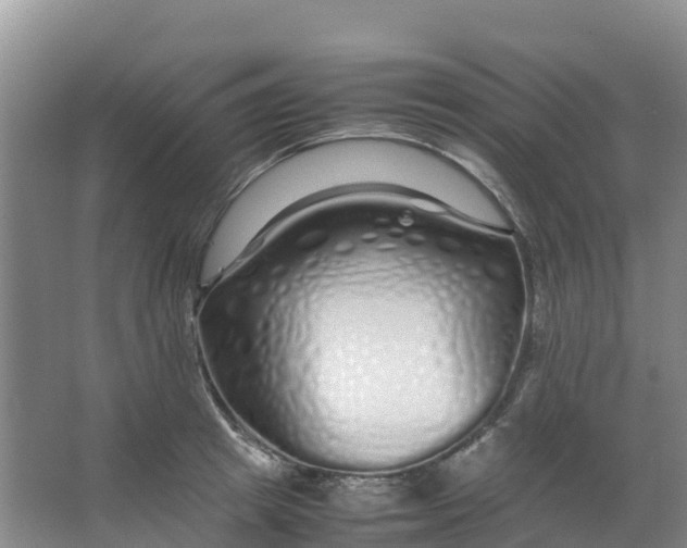 X0000067000849200604142257