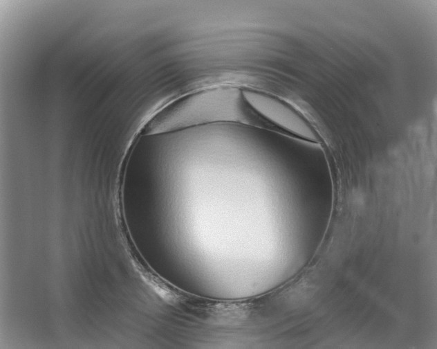 X0000067000850200604142257