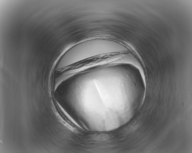 X0000067000851200604142257