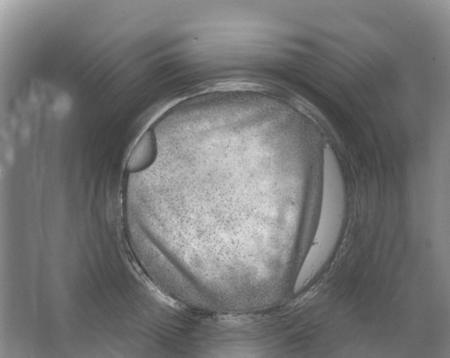 X0000067000852200604142257