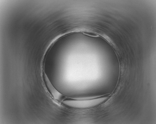 X0000067000854200604142257