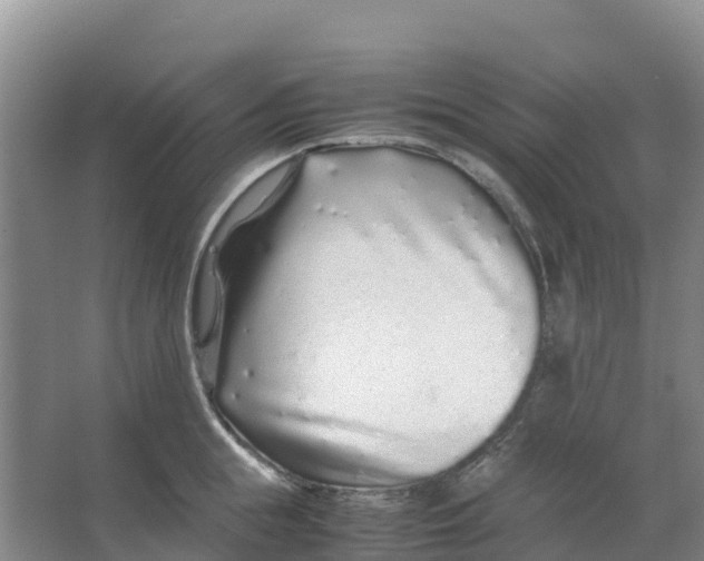 X0000067000855200604142257