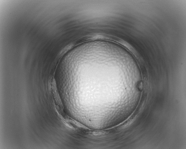 X0000067000857200604142257