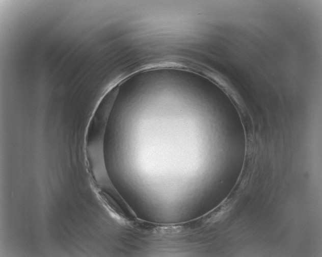 X0000067000858200604142257