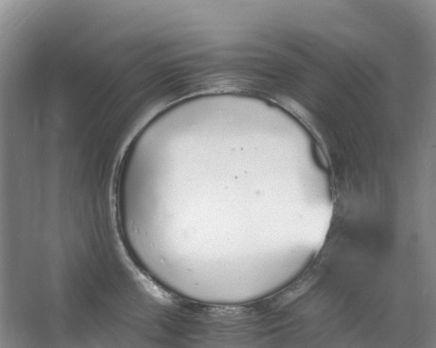 X0000067000859200604142257