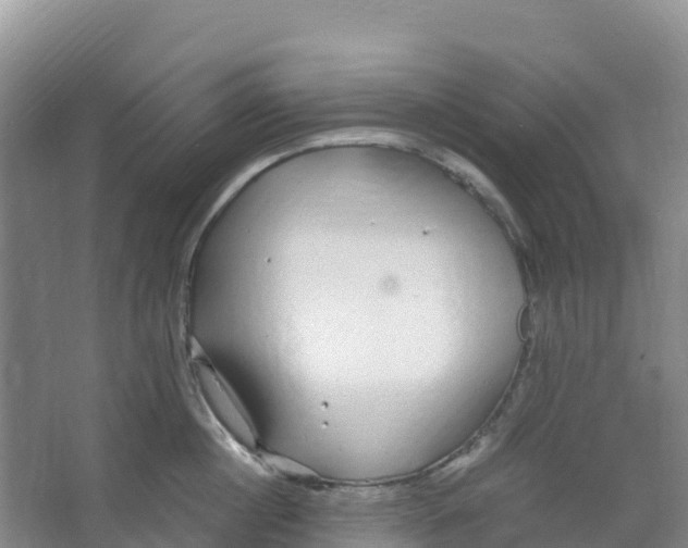 X0000067000860200604142257