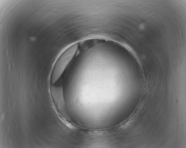 X0000067000862200604142257