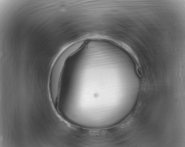 X0000067000863200604142257