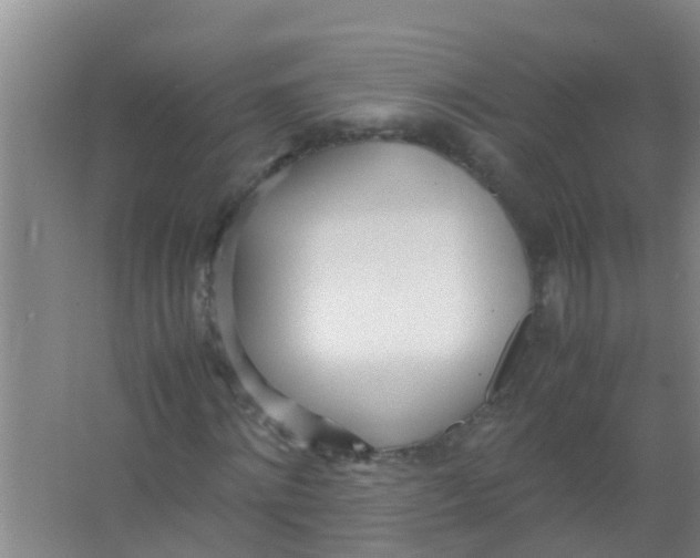 X0000067000868200604142256