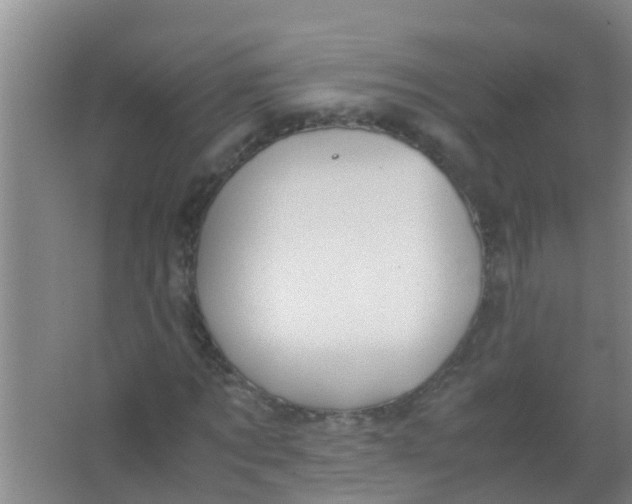 X0000067000869200604142256