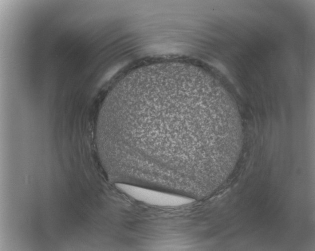 X0000067000871200604142256