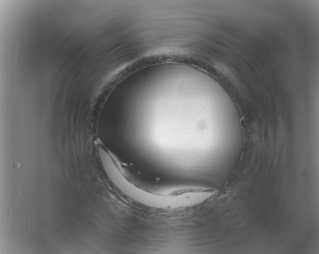 X0000067000872200604142256