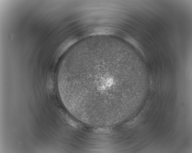 X0000067000874200604142256