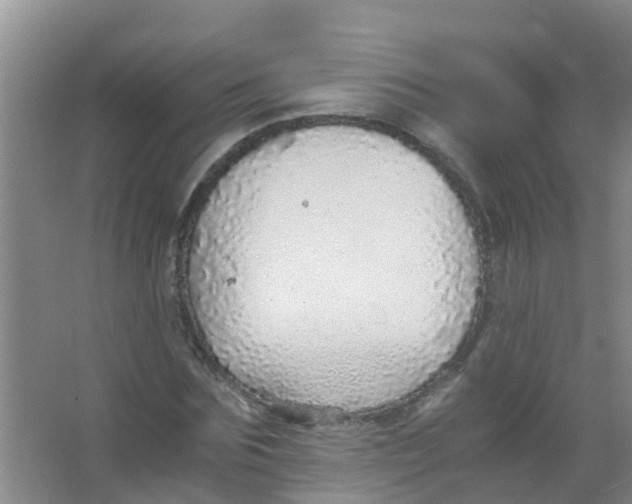 X0000067000875200604142256