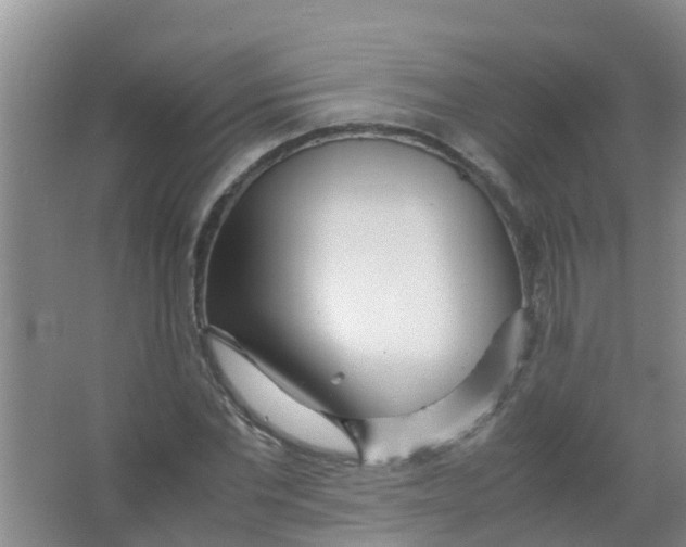 X0000067000877200604142256