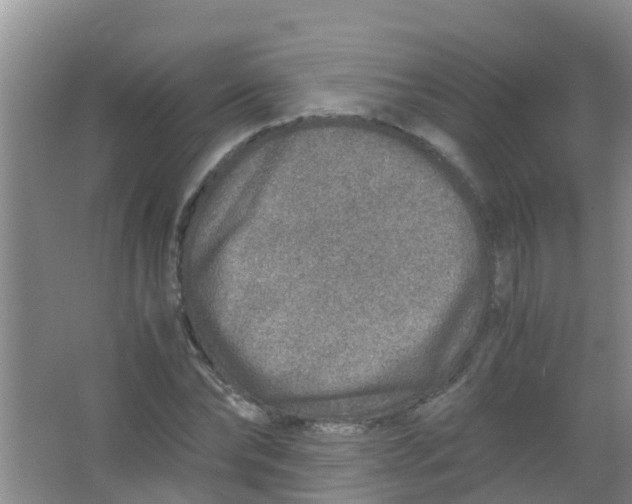 X0000067000878200604142256