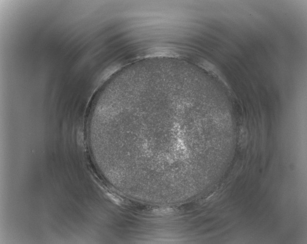 X0000067000882200604142256