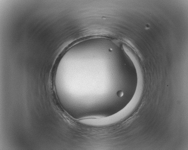 X0000067000883200604142256