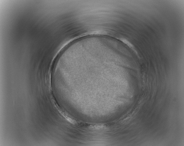 X0000067000886200604142256