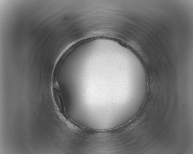 X0000067000888200604142256