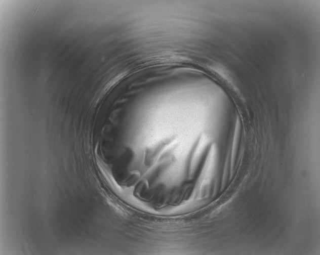 X0000067000889200604142256