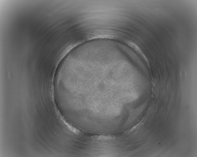 X0000067000890200604142256