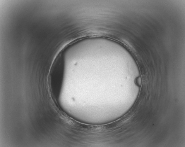 X0000067000891200604142256