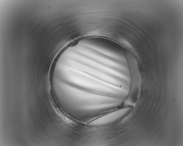 X0000067000892200604142256