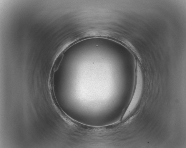 X0000067000893200604142256