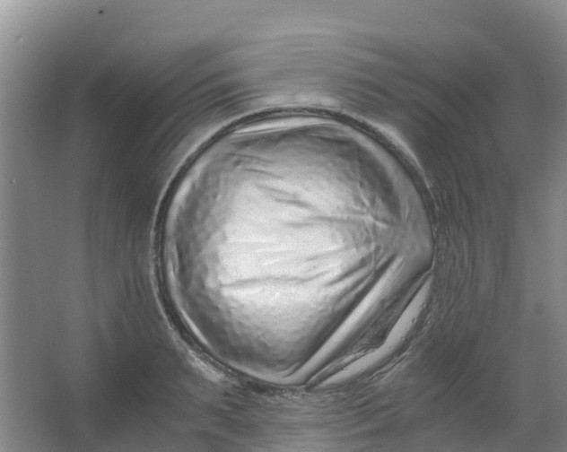 X0000067000895200604142256