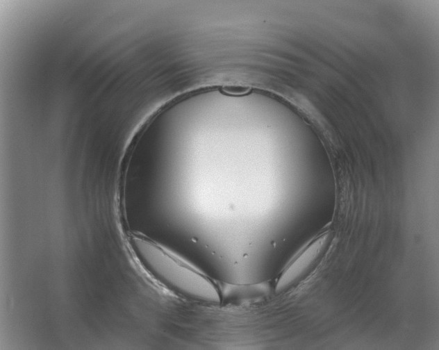 X0000067000896200604142256