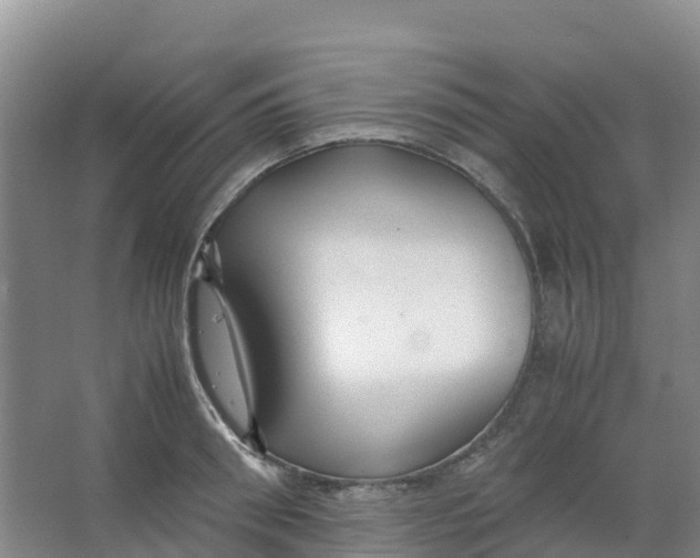 X0000067000898200604142256