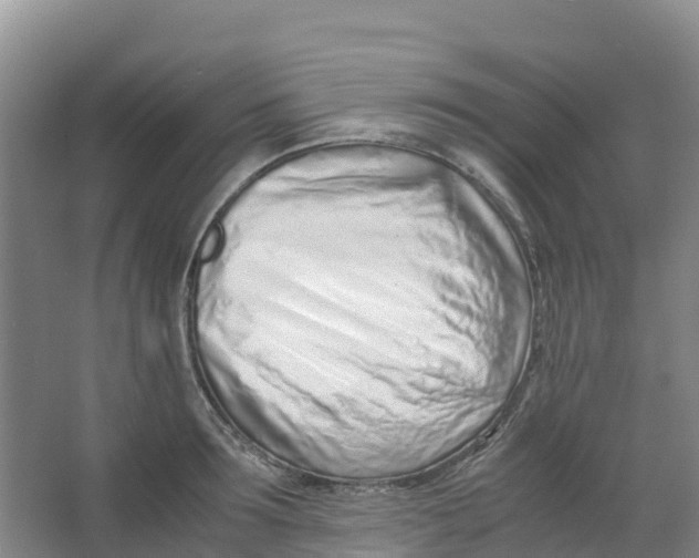 X0000067000899200604142256