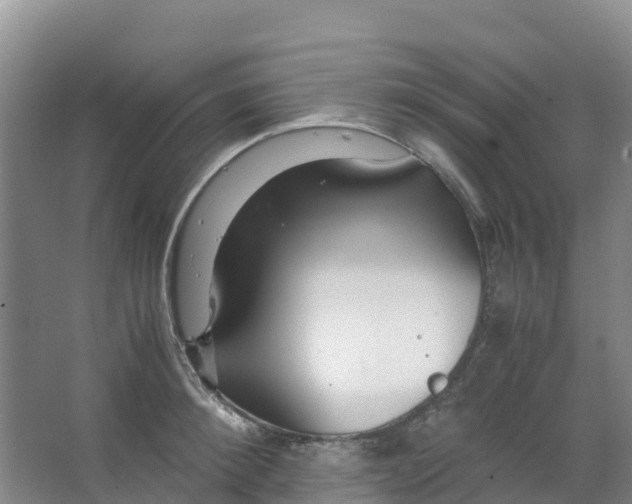 X0000067000900200604142256