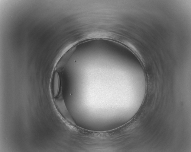 X0000067000901200604142256