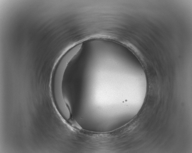 X0000067000902200604142256