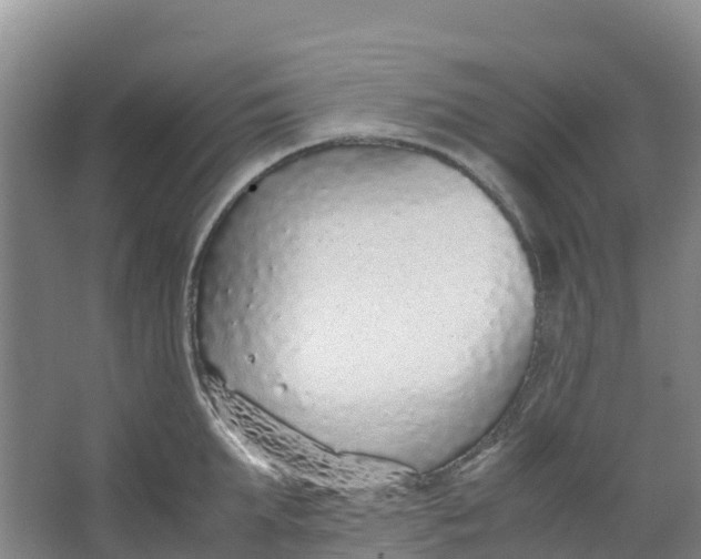 X0000067000903200604142256