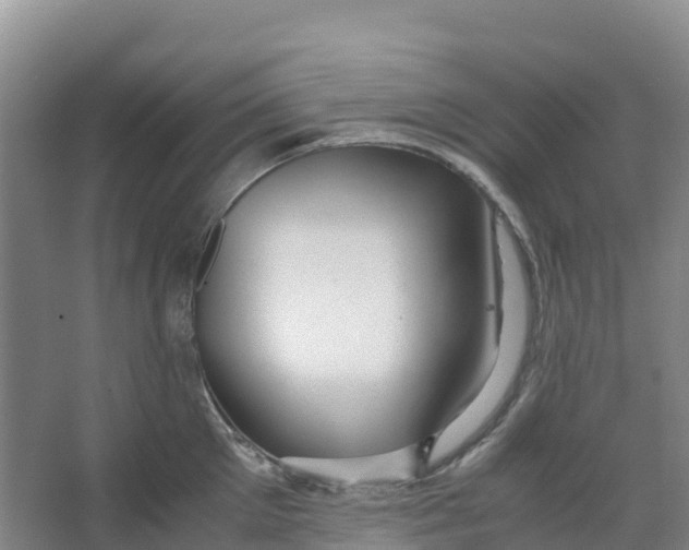 X0000067000905200604142256