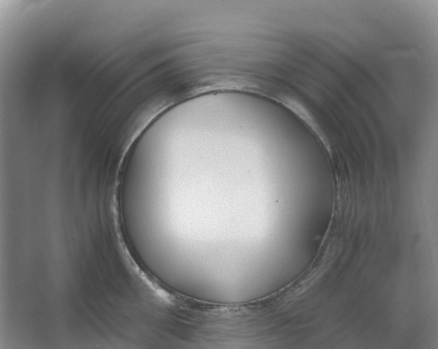 X0000067000906200604142256