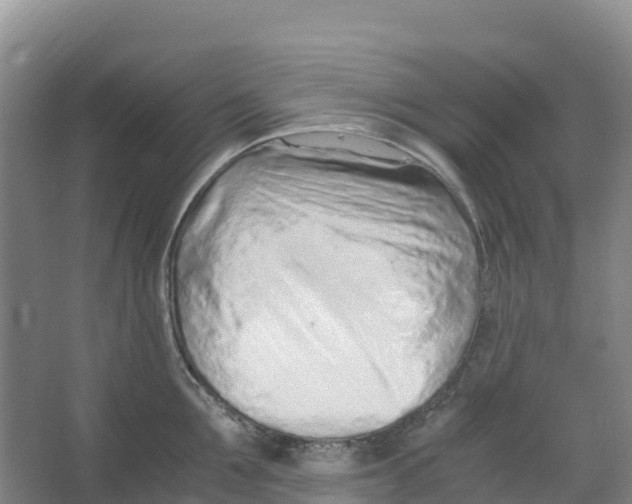 X0000067000907200604142256