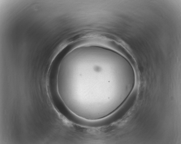 X0000067000909200604142256