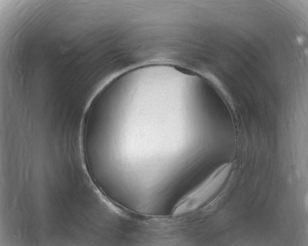 X0000067000910200604142256