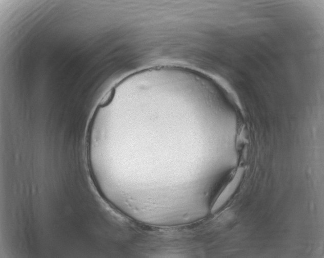 X0000067000911200604142256