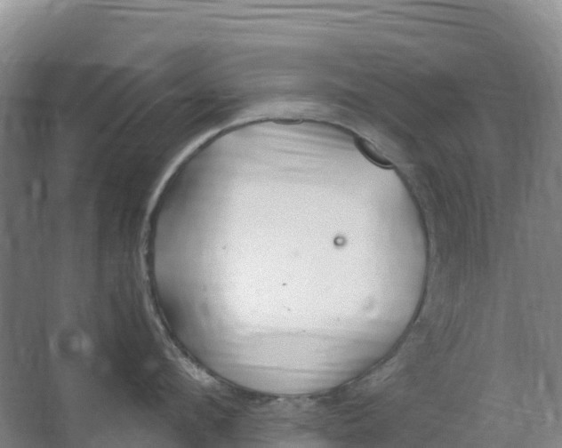 X0000067000912200604142255